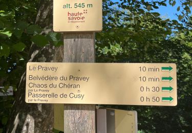Trail Walking Cusy - Pont de l’Abime - Photo