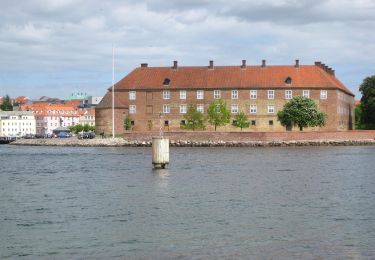 Percorso A piedi  - Gul løberute - Photo