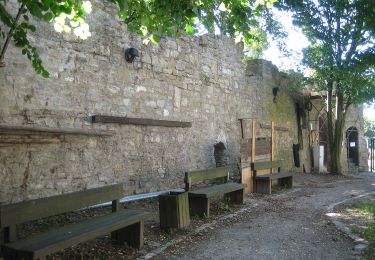 Percorso A piedi Giebelstadt - Kulturweg Giebelstadt 1 - Photo