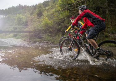 Trail Mountain bike Malmedy - Vers le sommet du pays - Photo
