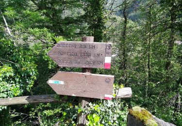 Trail On foot San Godenzo - Sentiero Natura Acquacheta - Photo