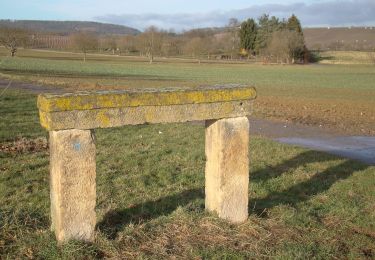 Randonnée A pied Erligheim - Storchenweg - Photo