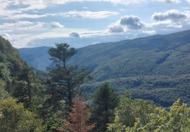 Trail Walking Autrans-Méaudre en Vercors - t4m j2 - Photo