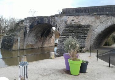 Excursión Bici de carretera Paron - 067 NE50 Pont sur Yonne # Voisines-01 - Photo
