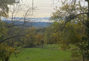 Trail Walking Rosières - Le ravin du coeurboeuf - Photo
