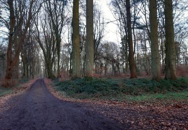 Tour Wandern Seraing - seraing mare aux joncs - Photo