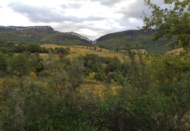 Tour Wandern Séguret - dindoulette  - Photo