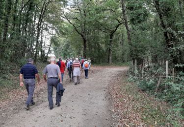 Trail Walking Moulins-sur-Tardoire - La rando de Vilhoneur côté Nord - Photo
