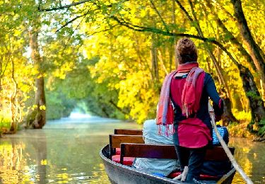 Tour Wandern Le Mazeau - Mazeau_Marais_Sauvage - Photo