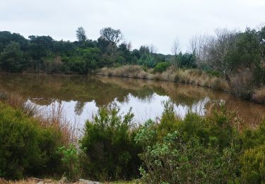 Tour Wandern Le Muy - les chaoumes - Photo