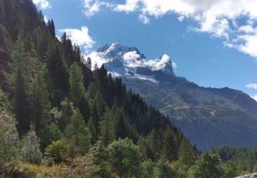 Randonnée Marche Chamonix-Mont-Blanc - TMB8 CAF 24 - Photo