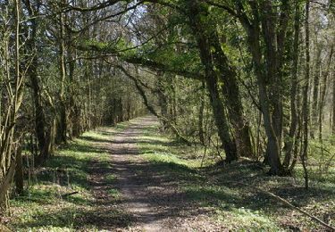 Trail Walking Vitrimont - Circuit des Quatre Vents (grand) - Photo