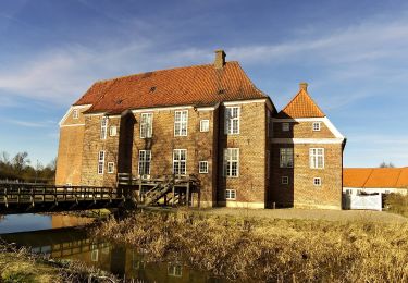 Excursión A pie  - Gå med i Lunden - Photo