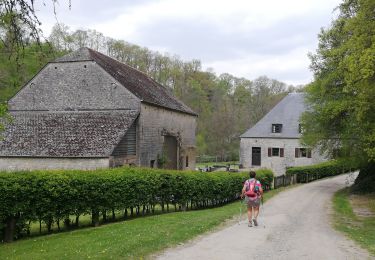 Tocht Noords wandelen Doische - Adeps Gochenée  - Photo