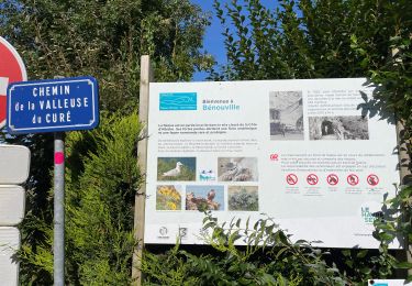 Tocht Wegfiets Saint-Valery-en-Caux - Sainte Marie La Flotte retour - Photo