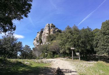 Trail Walking Arboras - Arboras-Le Rocher des Vierges - Photo