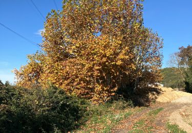 Tocht Stappen Bouc-Bel-Air - Bouc Bel Air grand Vallat  - Photo