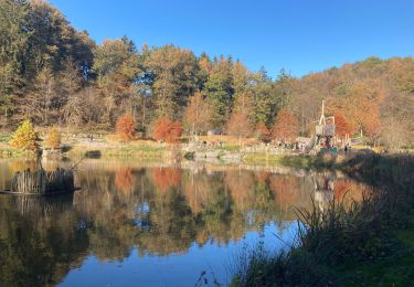 Tour Wandern Ciney - Domaine de Chevetogne / 2020-11-06 - Photo