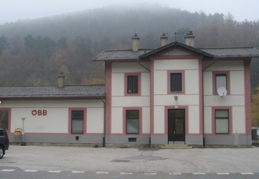 Percorso A piedi Gemeinde Weissenbach an der Triesting - Weissenbach-Raintal-Hafnerberg-Altenmarkt - Photo