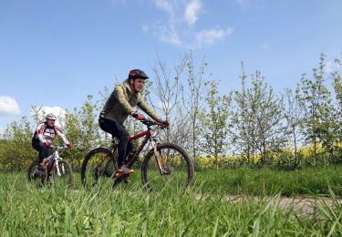 Tour Mountainbike Libin - Libin - Parcourt VTT du Kaolin (LI22) - Photo