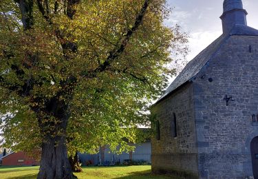 Tour Wandern Mettet - BIESME .dép place saint Martin - Photo