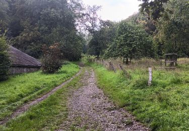 Tocht Stappen Luik - autour du domaine universitaire  - Photo