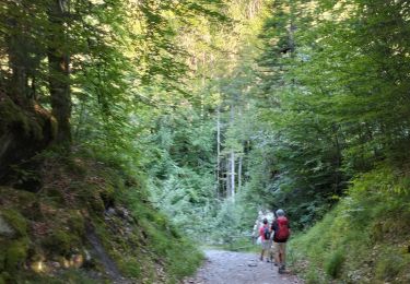 Tour Wandern Sixt-Fer-à-Cheval - 74-cirque-fer-a-cheval-bout-du-monde-11km-430m - Photo