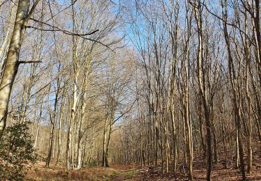 Tour Wandern Vascœuil - rando du 28 février 2021 - Photo