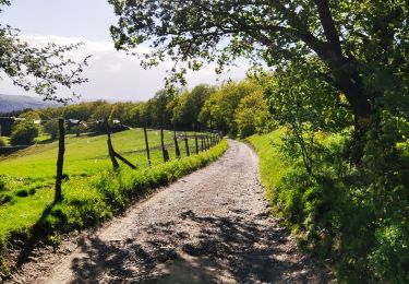 Randonnée Marche Liège - Promenade du Vallon du Ry-Ponet  - Photo