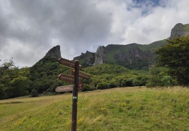 Trail Walking Chambon-sur-Lac - Moineaux cascade de la Biche - Photo