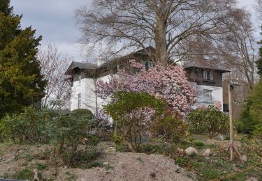 Tour Zu Fuß Reinbek - Walderlebnispfad Staatsforst Trittau - Photo