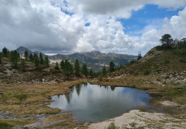 Tour Wandern Saint-Martin-Vésubie - Lac Negre depuis Boreon - Photo