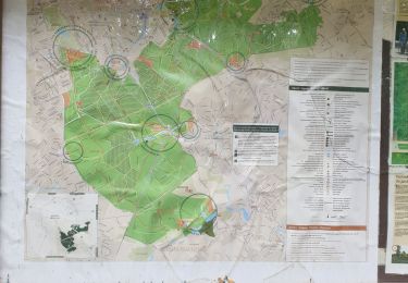 Randonnée Marche Uccle - 2020-07-09 - Banc d'essai pour enregistrer un circuit dans la forêt de Soignes sur EasyJet Trail  20 jm - Photo