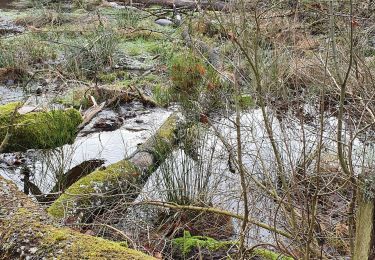 Tocht Stappen Herbeumont - Martilly 2 - Photo