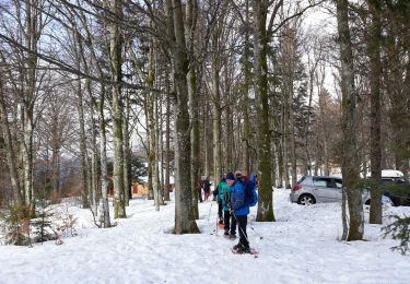 Randonnée Raquettes à neige Lepuix - Ballon d'Alsace - Photo