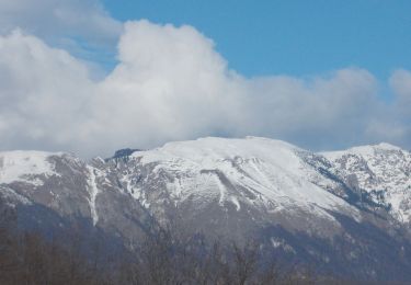 Randonnée A pied Băile Olănești - Schitul Pahomie - Stâna Ștevioara - Muchia Frumoasă - Șaua Ștevioara - Photo