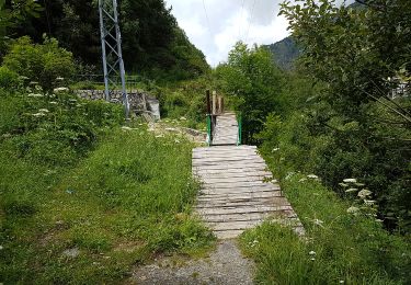 Tour Wandern  - 11133234-chemin du coq_jul-2017_openrunner - Photo