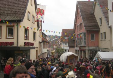 Tour Zu Fuß Weil der Stadt - Landesvermessungsweg - Photo