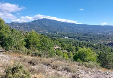 Percorso Mountainbike Mormoiron - Back to Crillon - Photo