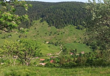 Excursión Bici de montaña La Bresse - Honneck Gerardmer - Photo