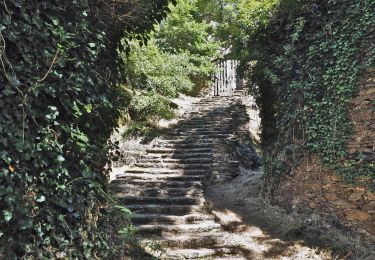 Trail Walking Tanus - Tanus le Vieux vers la chapelle de Las Planques - Photo