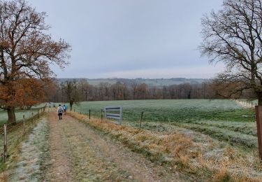 Trail Walking Yvoir -  Marche ADEPS Spontin  - Photo