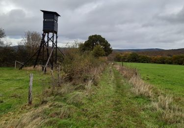 Tocht Stappen Érezée - Mormont - Clerheid  7km - Photo