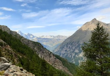 Trail Walking Randa - Europahutte - Zermatt / Jour 11 - Photo