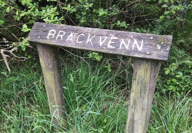 Trail Walking Eupen - Promenade dans la fagne de Brackvenn   - Photo