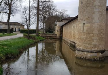 Tocht Stappen Margaux-Cantenac - Margaux - Photo
