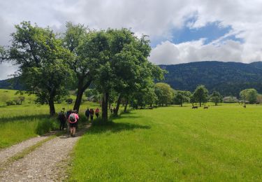 Trail Walking Sevrier - Annecy jour 5 - Photo