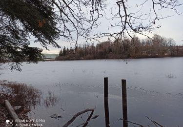 Tour Wandern Amont-et-Effreney - 5-12-20 Effreney - Photo