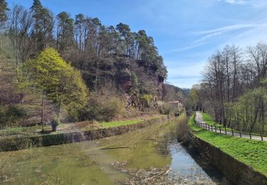 Tocht Stappen Lutzelbourg - Sentier des Roches et vallée des éclusiers - Photo