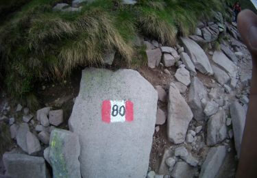 Trail On foot Esine - IT-740 - Photo